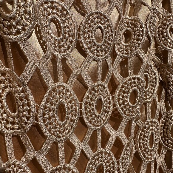 Lilly Pulitzer Beth Lace Slip Dress Metallic Gold - Picture 5 of 5